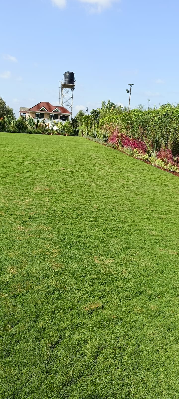 Sloping garden lawn with colourful flower beds and the property buildings in the distance