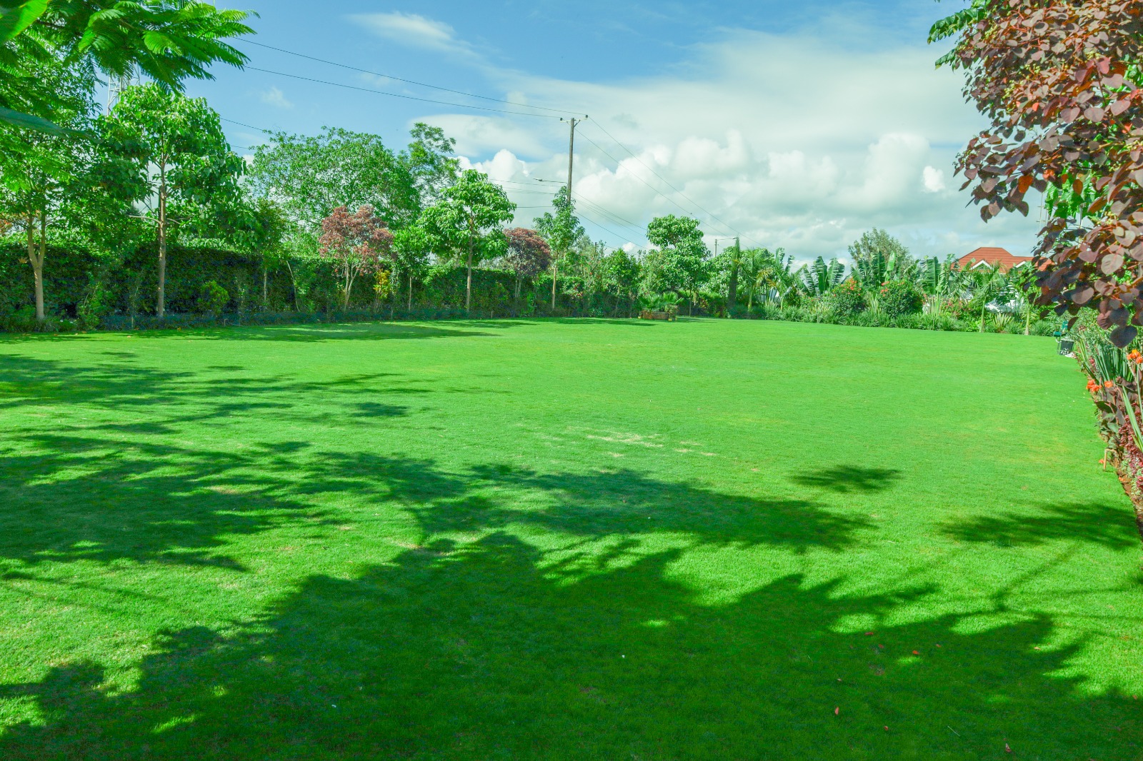 Wide open manicured green lawn at Vipe Bliss Gardens framed by trees and hedges under a blue sky
