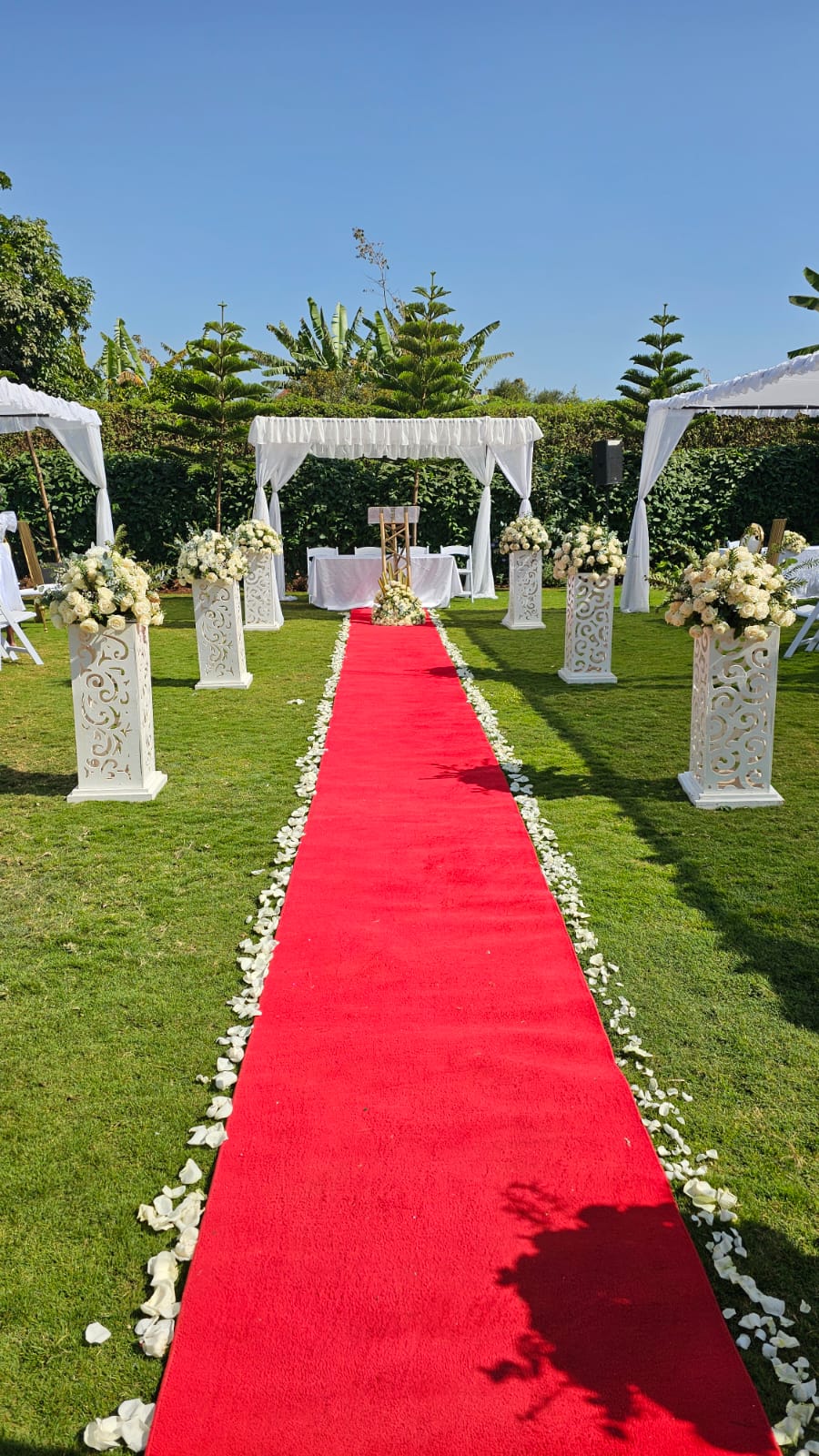 Red carpet aisle edged with white petals and pedestal flower arrangements leading to a garden altar