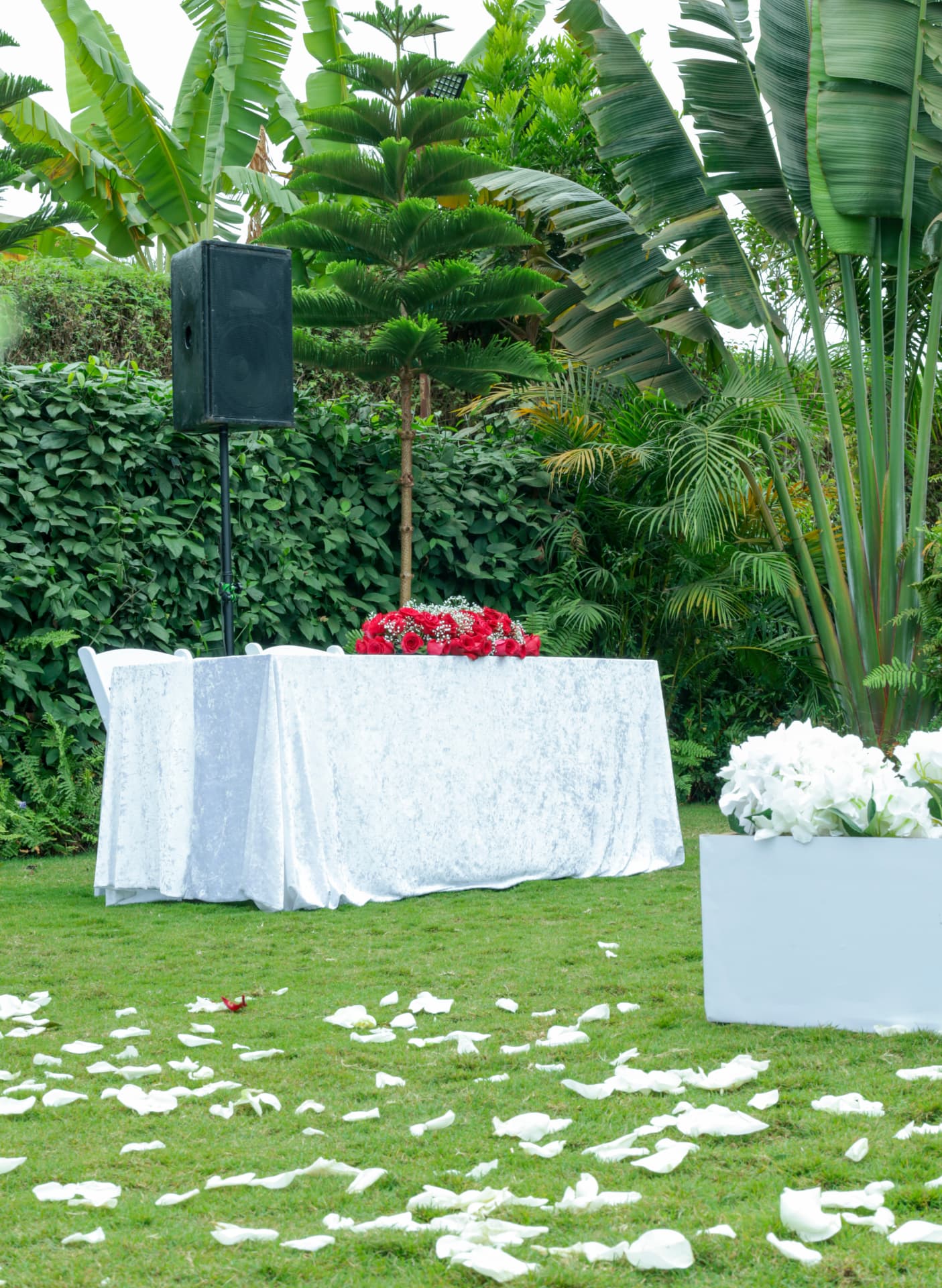 Garden event table framed by tropical plants and white florals