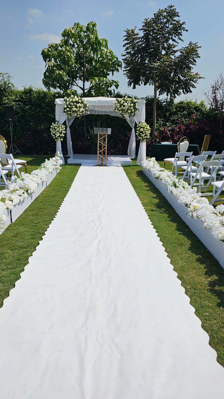 White aisle runner lined with white roses leading to a draped floral ceremony canopy